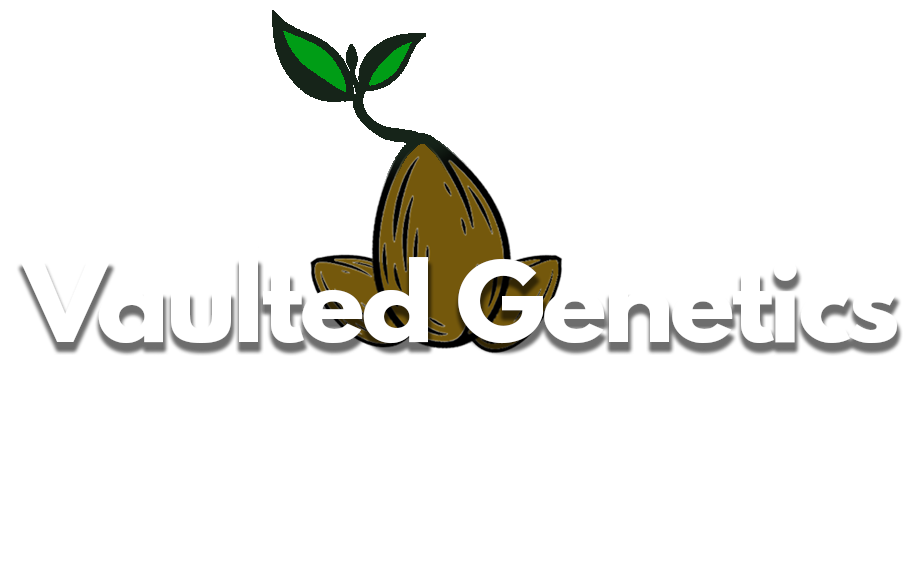 Vaulted Genetics Logo